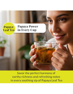 Té de Hoja de Papaya Akshit - 75 Bolsitas Naturales Sin Cafeína 2