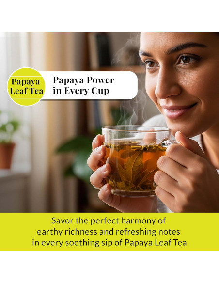 Té de Hoja de Papaya Akshit - 75 Bolsitas Naturales Sin Cafeína