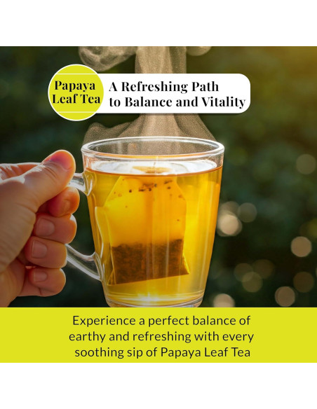 Té de Hoja de Papaya Akshit - 75 Bolsitas Naturales Sin Cafeína