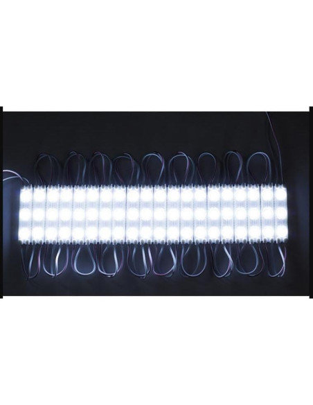 40 Módulos LED 12V IP65 para Inflables - Luz de Reemplazo