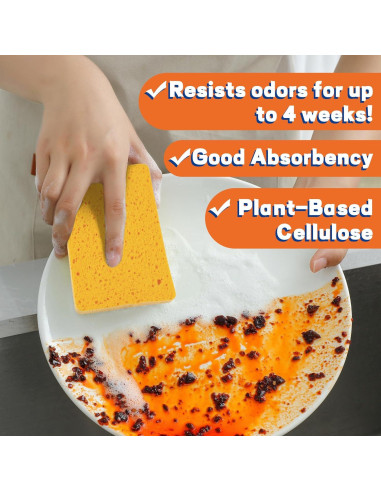 Esponjas de Celulosa Comprimida Derloyo 7 Unidades Ecológicas