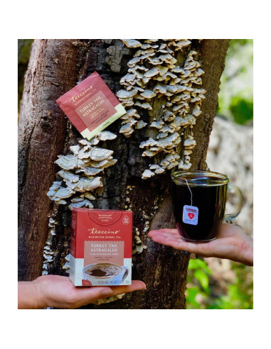 Teeccino Té Herbal Adaptogénico Arce Tostado 10 Bolsitas