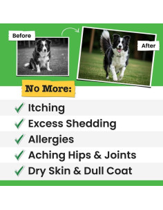 Aceite de Pescado Pawsential 236.6 ml - Omega 3 para Mascotas 2