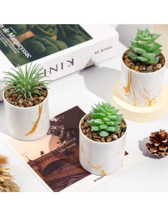 Conjunto de 4 Plantas Suculentas Artificiales Der Rose Verde 2