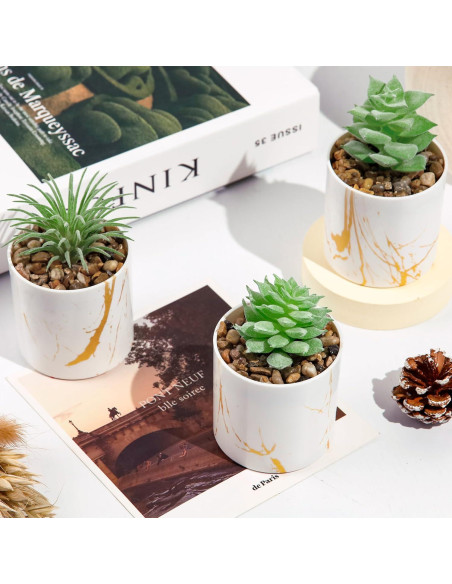 Conjunto de 4 Plantas Suculentas Artificiales Der Rose Verde