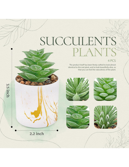 Conjunto de 4 Plantas Suculentas Artificiales Der Rose Verde