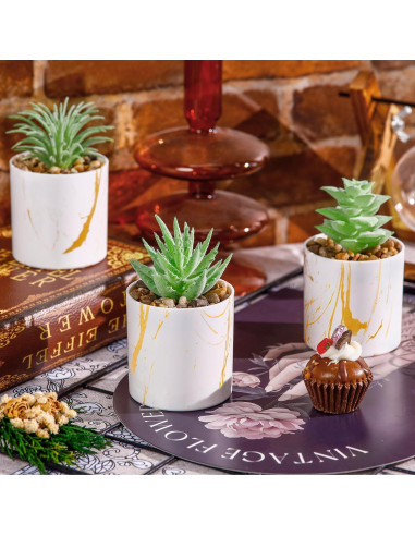 Conjunto de 4 Plantas Suculentas Artificiales Der Rose Verde