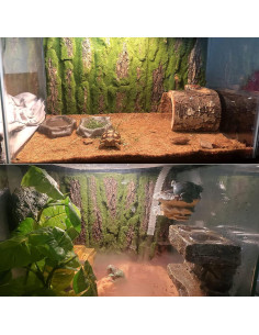 Fondo de corcho natural para terrario PINVNBY 4 piezas 40x30cm 2