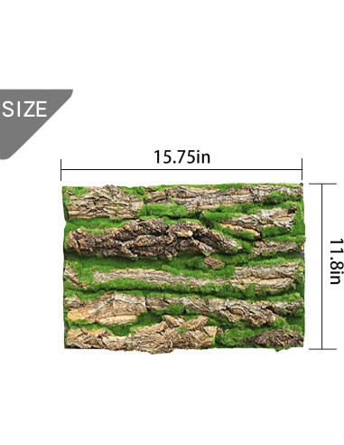 Fondo de corcho natural para terrario PINVNBY 4 piezas 40x30cm