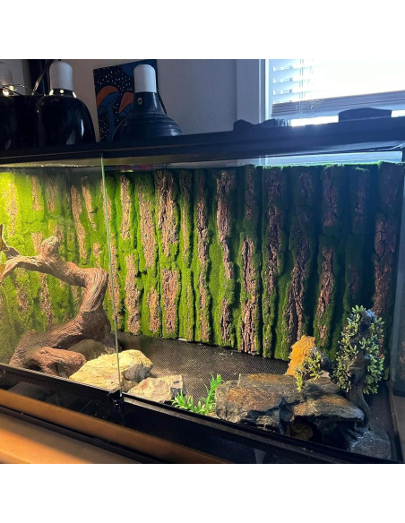 Fondo de corcho natural para terrario PINVNBY 4 piezas 40x30cm