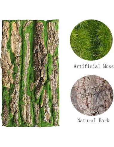 Fondo de corcho natural para terrario PINVNBY 4 piezas 40x30cm