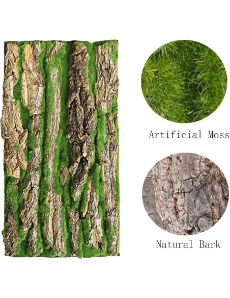 Fondo de corcho natural para terrario PINVNBY 4 piezas 40x30cm