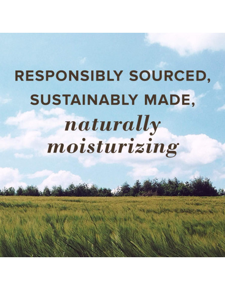 Balm de Labios Medicado Burt's Bees 4.25 g Hidratante Natural