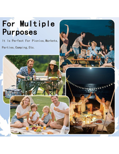 Cesta de Picnic Aislada Aikolesa 25L Plegable Azul