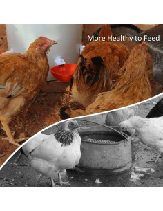 Comedero Automático para Aves de Corral Suplklz Naranja 6 Unidades 2