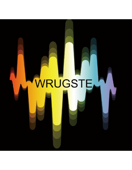 Interfaz de Audio USB Wrugste 24Bit/192kHz con Phantom 48V