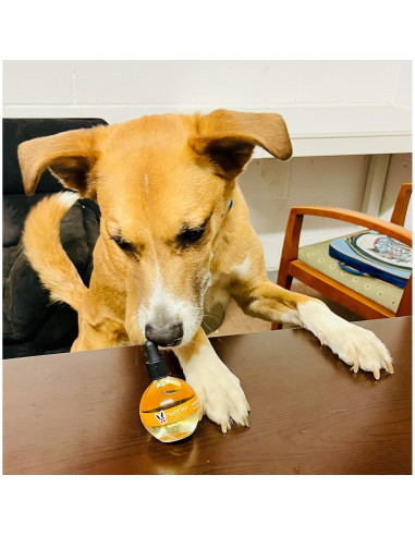 Aceite Revitalizante para Uñas y Cutículas de Perro Warren London - Hidratante y Fortalecedor con Vitamina E