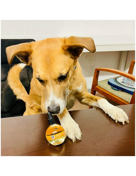 Aceite Revitalizante para Uñas y Cutículas de Perro Warren London - Hidratante y Fortalecedor con Vitamina E