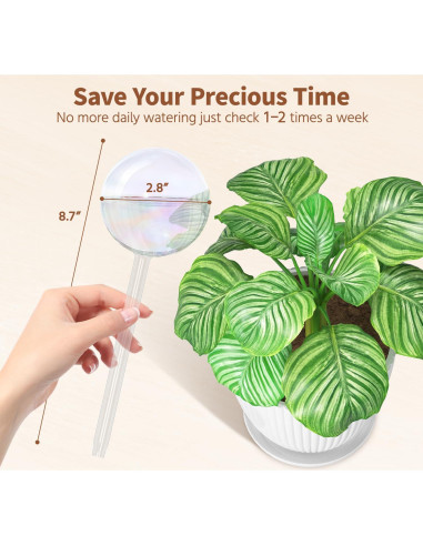 Globos de Riego de Vidrio LASZOLA 2 Pcs para Plantas