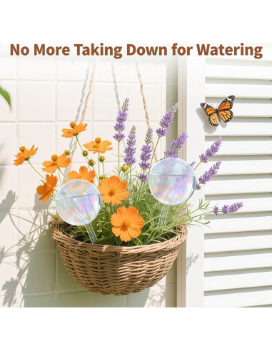 Globos de Riego de Vidrio LASZOLA 2 Pcs para Plantas