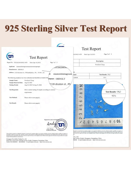 Ganchos de Joyería OHINGLT 925 Plata Esterlina 5 Pcs