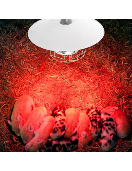 Lámpara de Calefacción para Animales Yardwe 250W 29.5x29.5cm