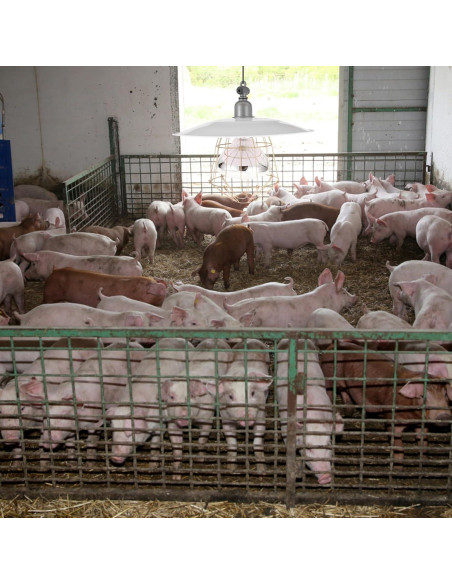 Lámpara de Calefacción para Animales Yardwe 250W 29.5x29.5cm