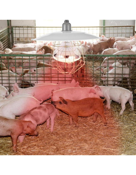 Lámpara de Calefacción para Animales Yardwe 250W 29.5x29.5cm