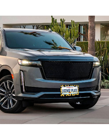 Marco de Placa de Licencia Girasol LIN KANG 30.9x16 cm 2 PCS