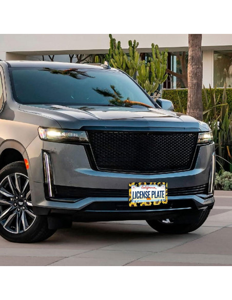 Marco de Placa de Licencia Girasol LIN KANG 30.9x16 cm 2 PCS