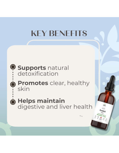 Tintura de raíz de bardana Herbity 50 ml - Sin alcohol, vegano