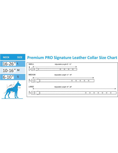 Bandana para Mascotas Pets First NBA Boston Celtics Pequeña/Mediana