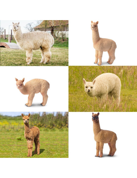 Figuras de Alpaca Toymany 8PCS Juguete Educativo Realista