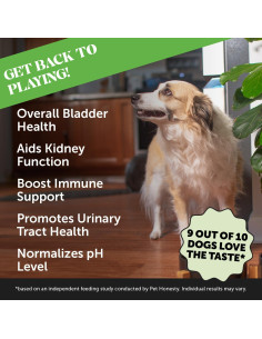 Masticables Salud de la Vejiga Pet Honesty - Bacon 255g 2