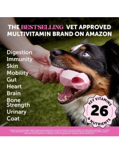 Multivitamina para Perros Honestidad 10 en 1 Pollo 180 ct 2