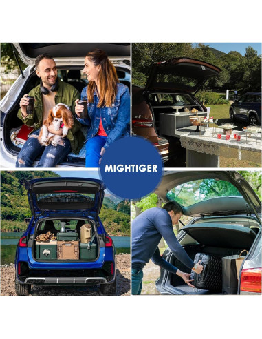 Actuador de portón trasero MIGHTIGER para Toyota RAV4 2013-2018