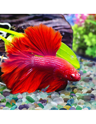 Keedolla Chips de Fluorita Pulidos 1.43 kg para Acuarios