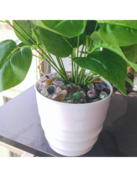 Keedolla Chips de Fluorita Pulidos 1.43 kg para Acuarios