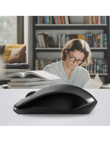 Ratón Inalámbrico Silencioso Rapoo 1680, 1000 DPI, Negro