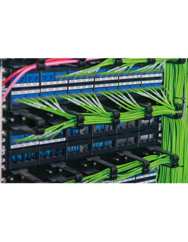 Impresora de Etiquetas Portátil Epson LABELWORKS LW-PX700 - Kit Completo