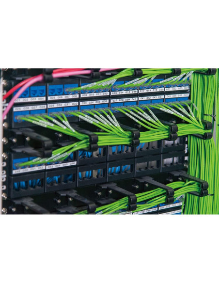 Impresora de Etiquetas Portátil Epson LABELWORKS LW-PX700 - Kit Completo