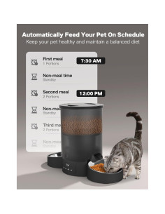 Comedero Automático SURDY 3L para 2 Gatos y Perros 2