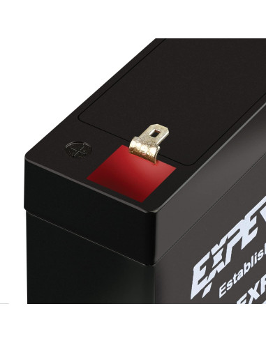 Batería de Plomo Sellada ExpertPower 6V 7AH Terminal F1
