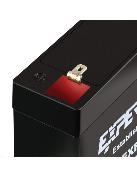 Batería de Plomo Sellada ExpertPower 6V 7AH Terminal F1