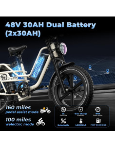 Bicicleta Eléctrica EUYBIKE Cargo Doble Batería 48V 160km 2