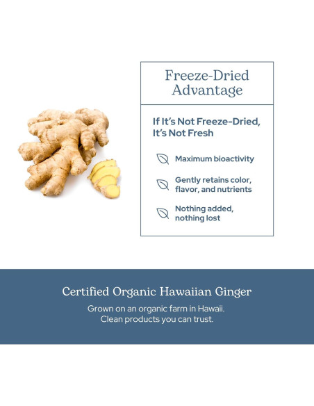 Jengibre Liofilizado Crudo Instituto Eclético 90 Cápsulas