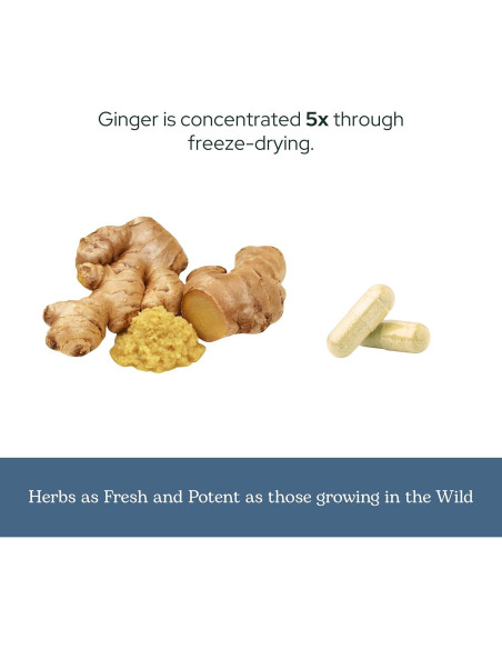 Jengibre Liofilizado Crudo Instituto Eclético 90 Cápsulas