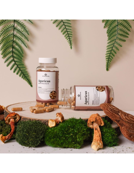 Suplemento de Hongo Agaricus Blazei Nature Restore 90 Cápsulas 500mg