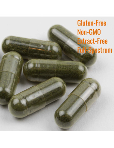 Cápsulas de Gynostemma Immortalitea 500mg - Suplemento Natural