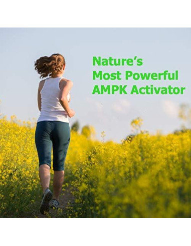 Cápsulas de Gynostemma Immortalitea 500mg - Suplemento Natural